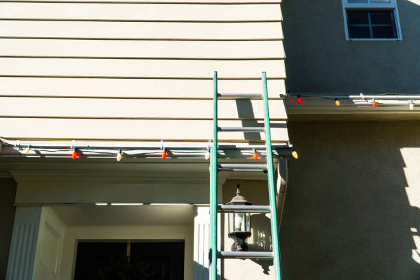 Best Custom Siding Design  in North Plymouth, MA