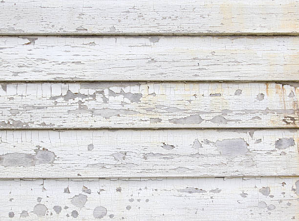 Best Siding Painting and Refinishing  in North Plymouth, MA