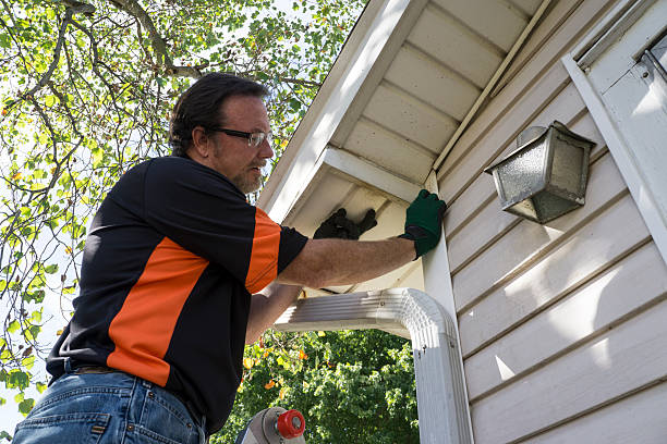 Best Historical Building Siding Restoration  in North Plymouth, MA